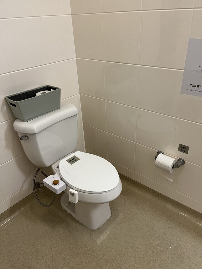 Picture of lowered toilet seat, Bidet attached to toilet.