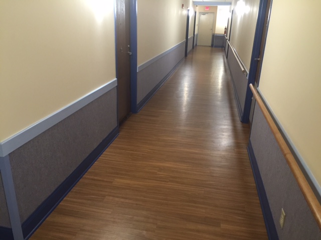 Wide hallways with handrail on the right. Wall protectors and wood flooring. Apartment doors on both sides of hallway.
