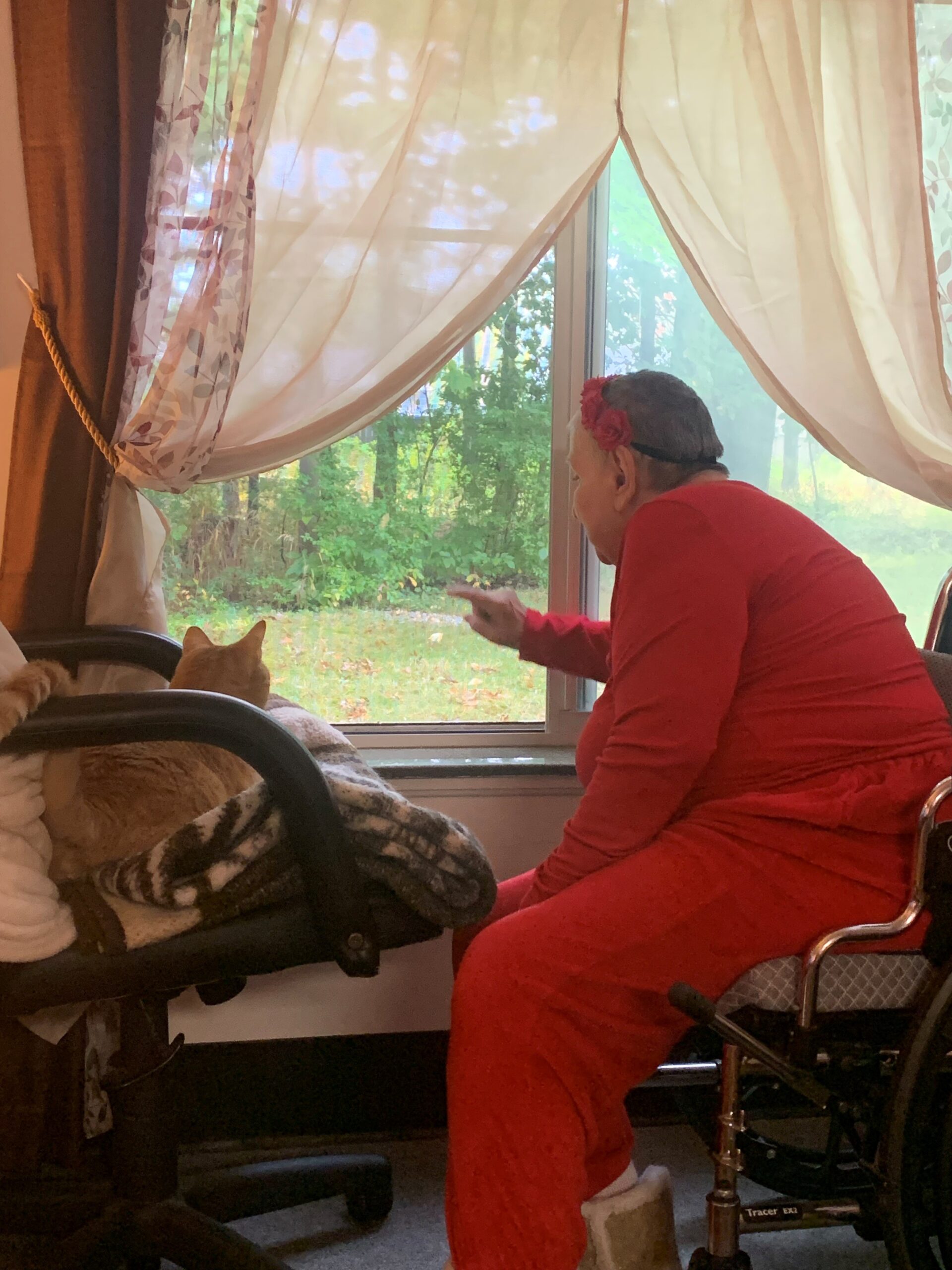 Mila wearing a red jumpsuit, sitting in her wheelchair. Her orange tabby, Roscoe, sitting on an office chair next to her.