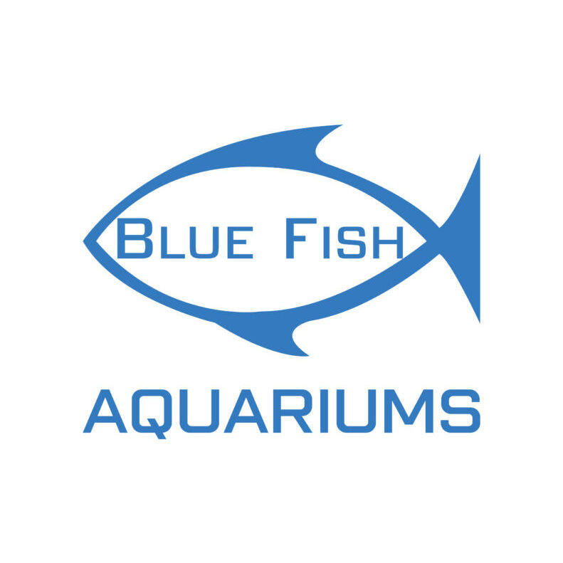 BLUE-FISH-LOGO1-791x1024